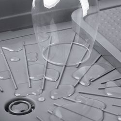 image-7757cb92c0f84b5eafbf889a7e332706