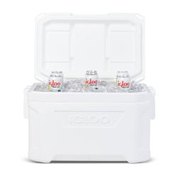 image-3dbee75155a74951a25e25f34ec69919